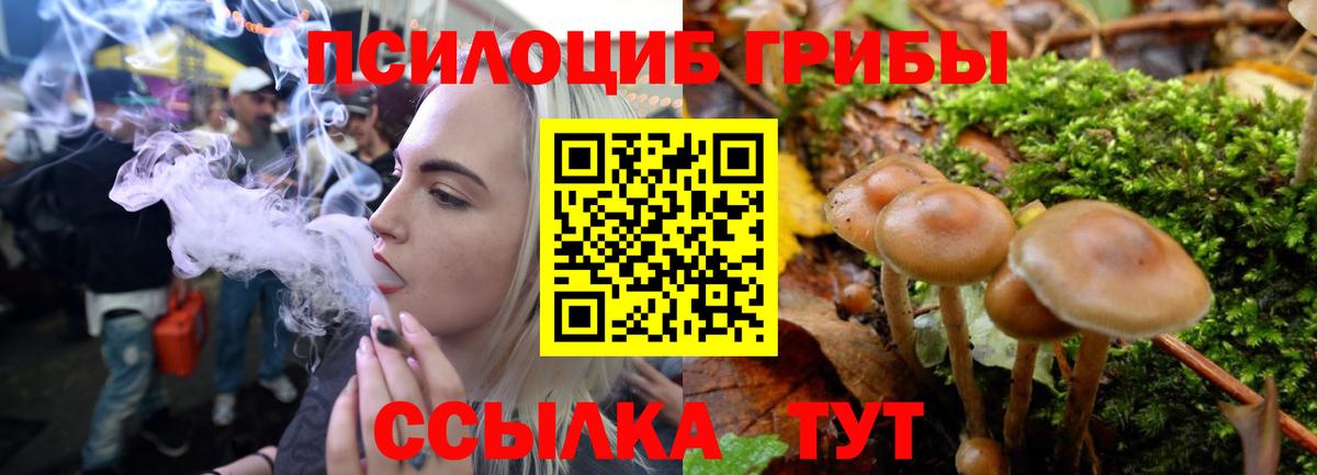Галлюциногенные грибы Magic Shrooms  Вход с VPN  Алексин 